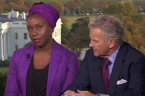 Chimamanda Adichie Received A Mansplanation About Racism Photo