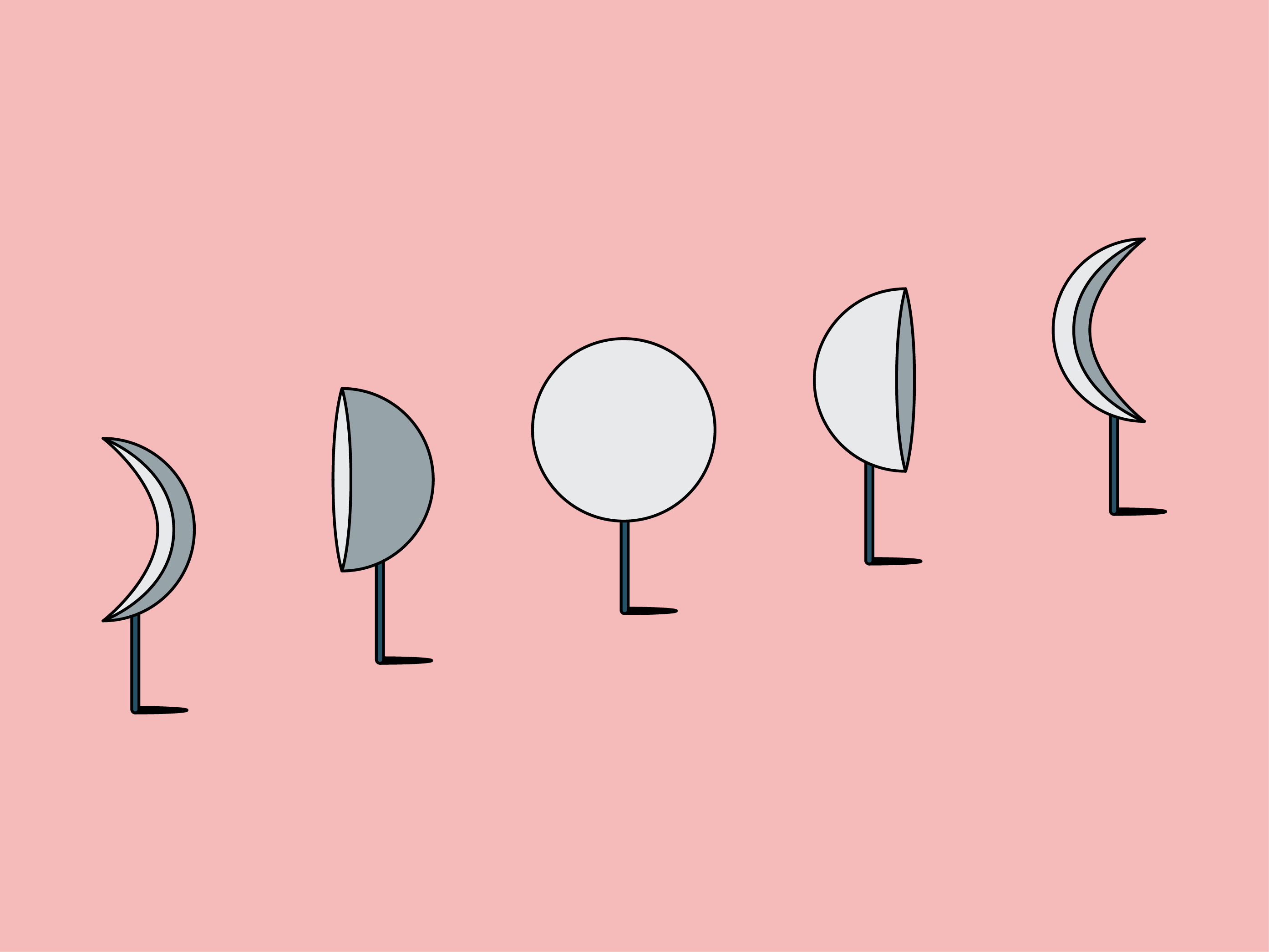 Thinx - Periodical - Getting to Know the Phases of Your Hormonal Cycle