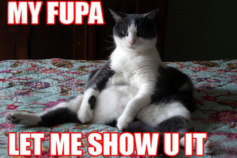 The Tell-All on the Belly: FUPAs, Flaps, and Flabby Tabbies Photo