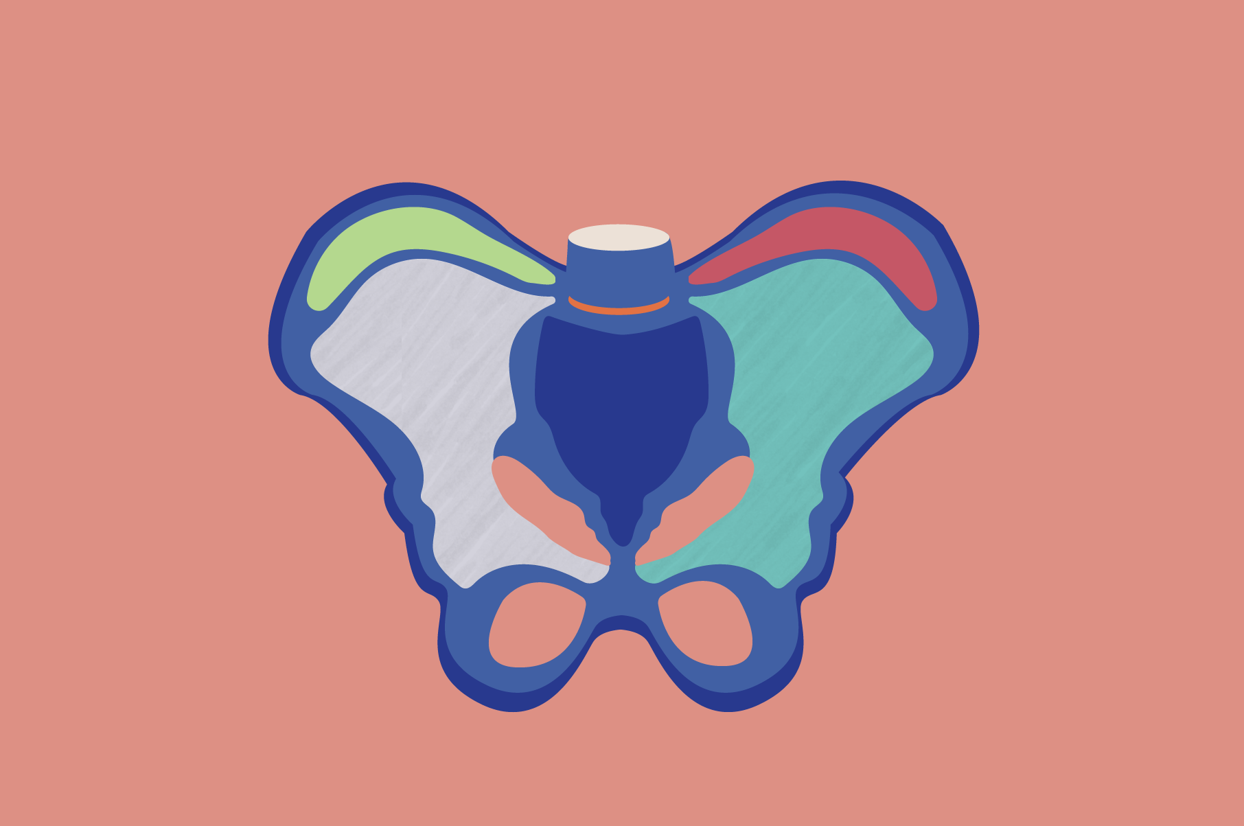 Getting to Know Your Pelvic Floor Anatomy Photo